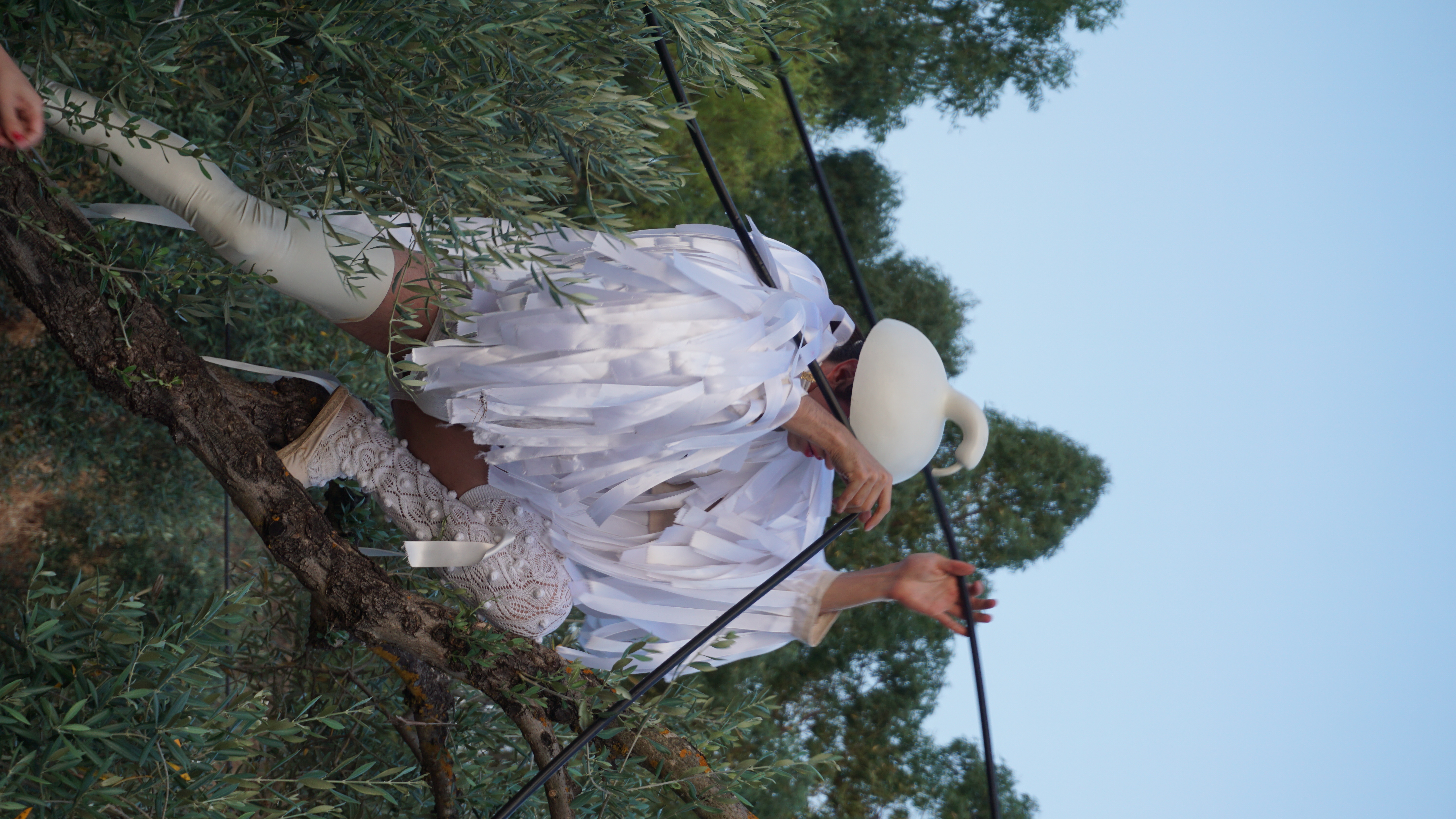 Élan d'Orphium en un olivar sujetando tubos de regadío