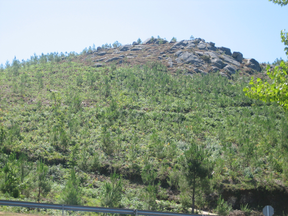 Foto cedida pola comunidade de Montes de Couso, onde se desenvolve o proxecto.