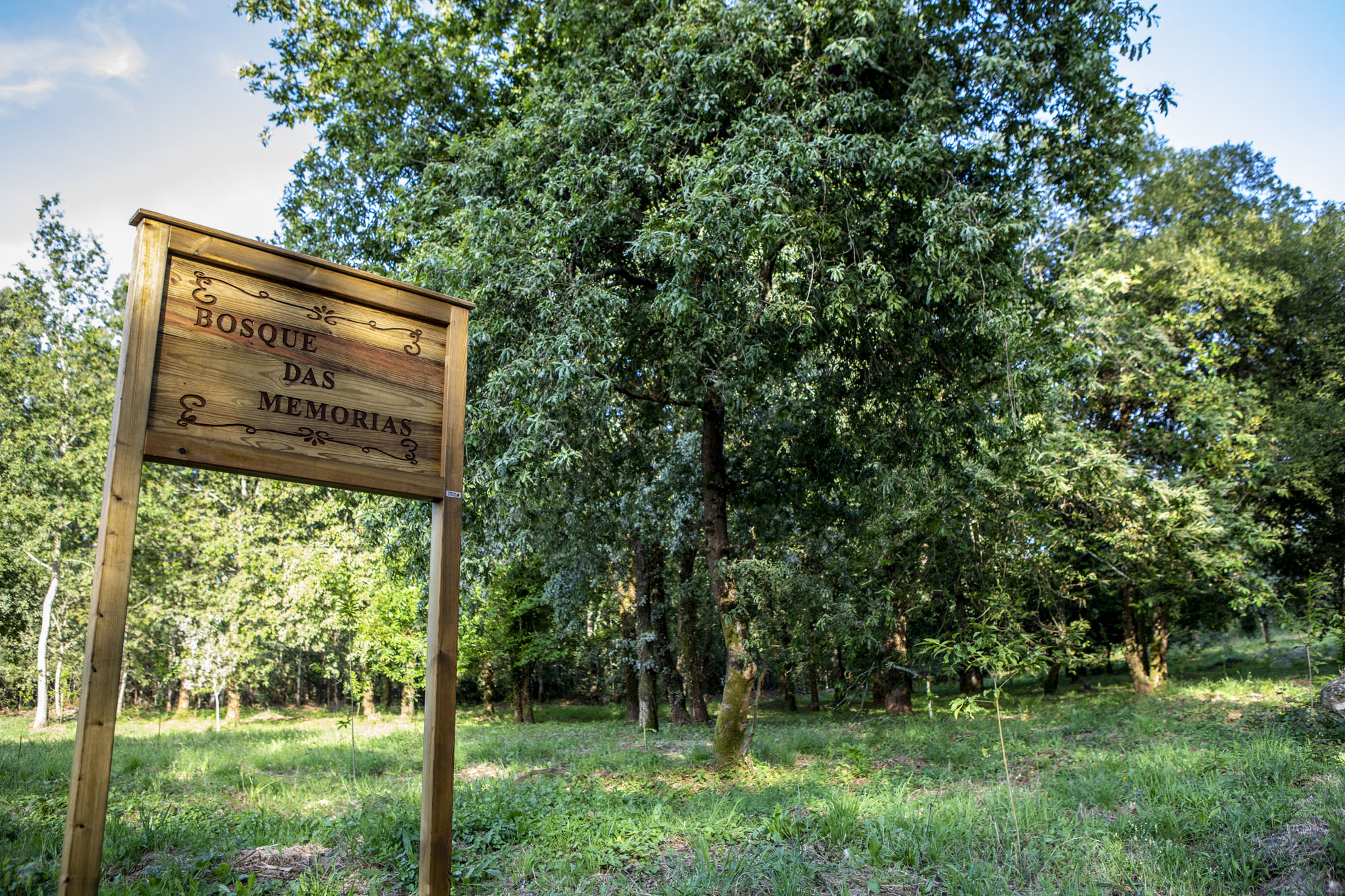 Foto cedida pola comunidade de Montes de Couso, onde se desenvolve o proxecto.