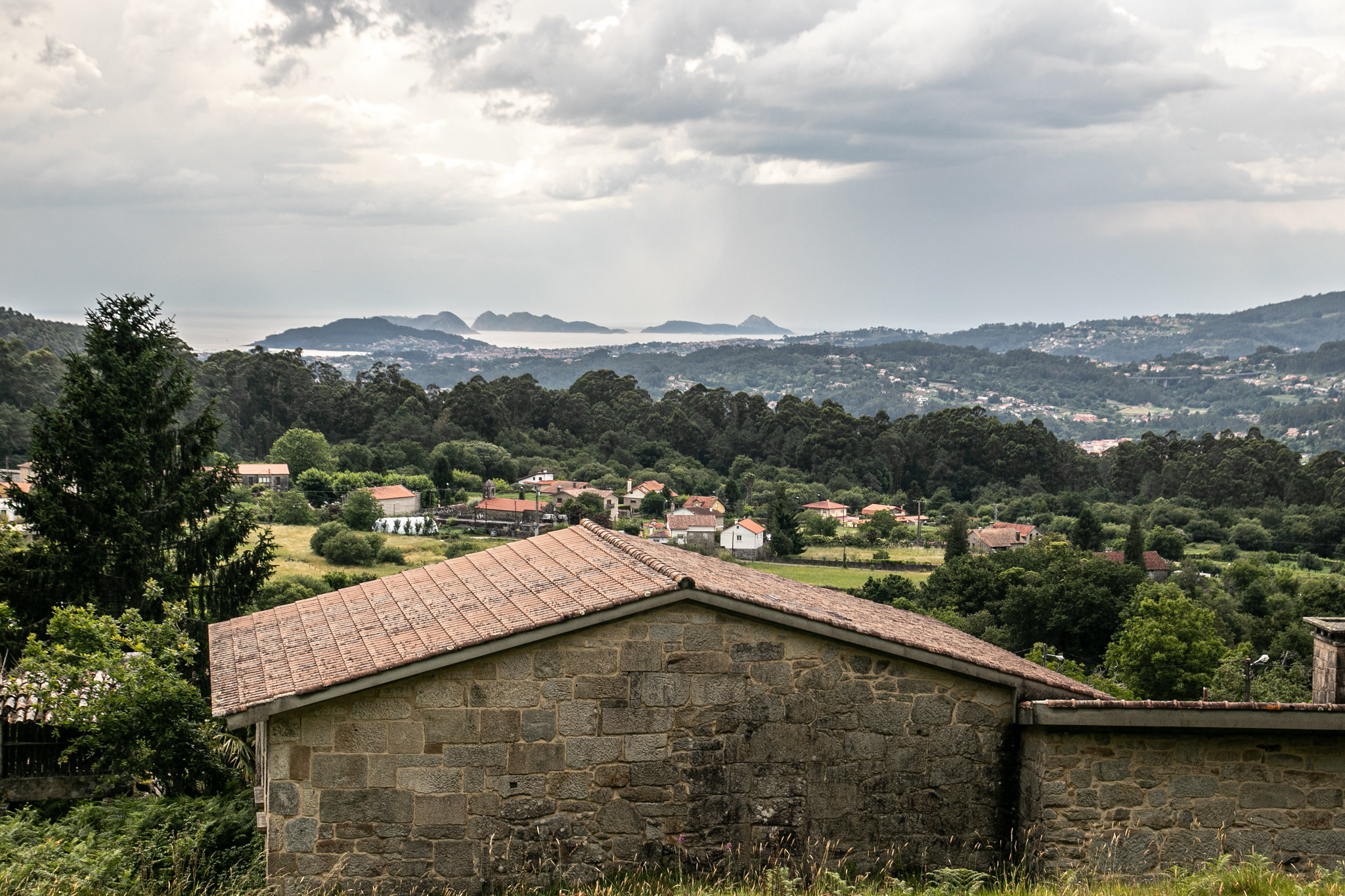 El proyecto 'Tierra Común' trabaja el relevo generación de este territorio a través de una obra artística basada en la naturaleza. (c) Andreia Iglesias