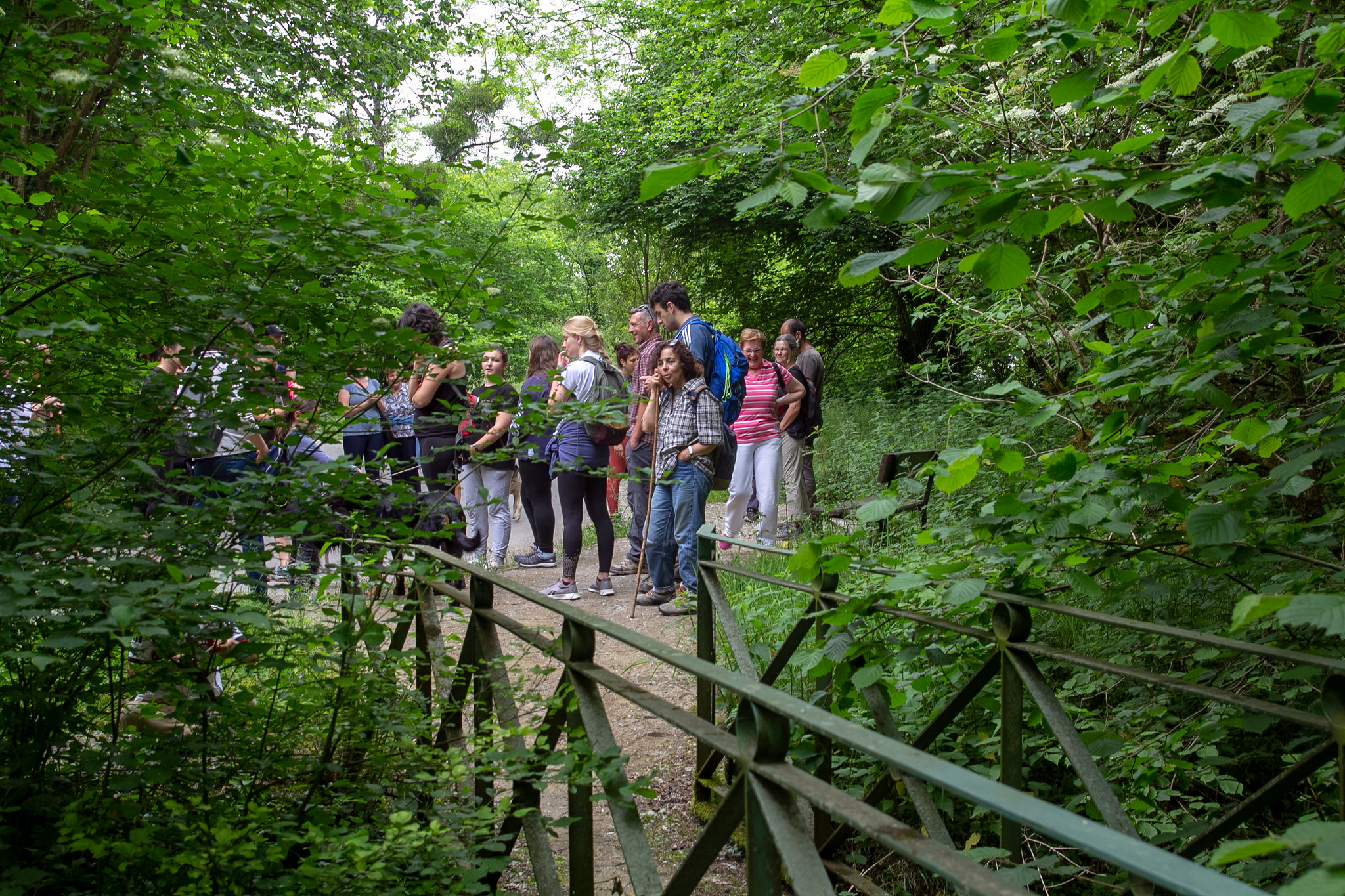 Una de las actividades de mediación del proyecto 'Aguas Vivas' en Cantabria. © José María Saceda