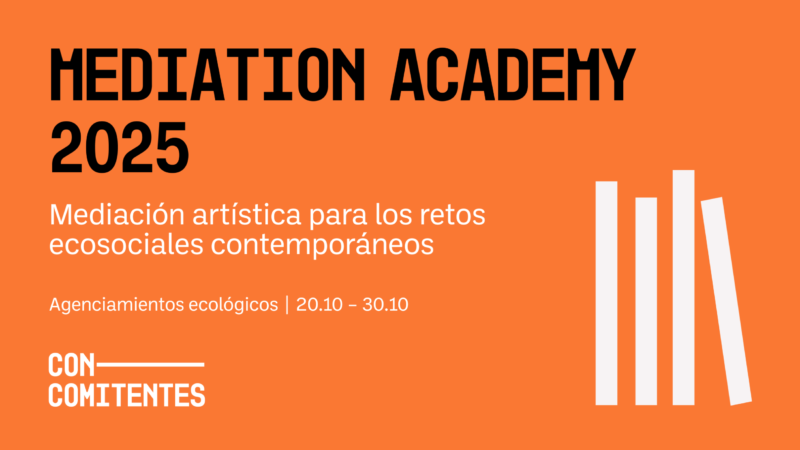 Mediation Academy 2025