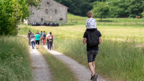 A walk through Llanos