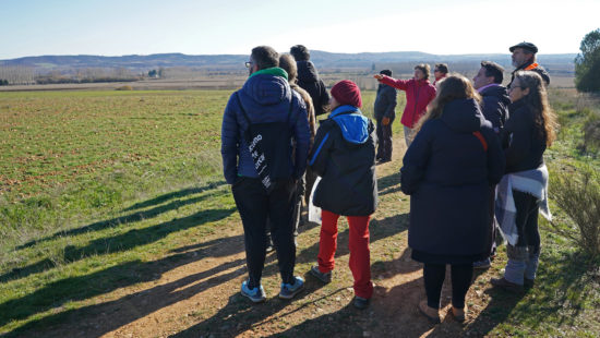 The project 'Solar Narratives' will participate in the activity 'Franco's colonisation and capitalist emptying'.