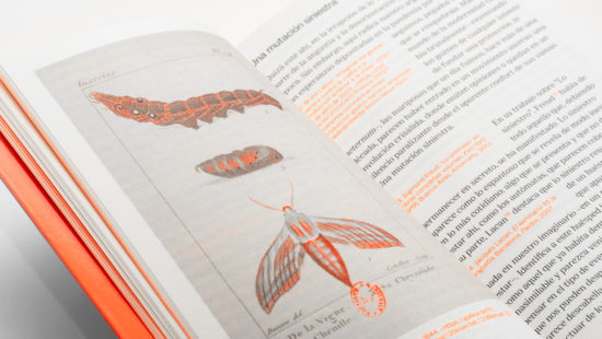 Agenciamientos ecológicos, a book to strengthen our relationship with the territory