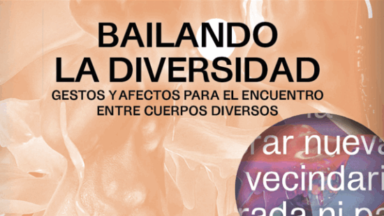 The book 'Dancing Diversity' looks at the party as a space of celebration for all bodies.