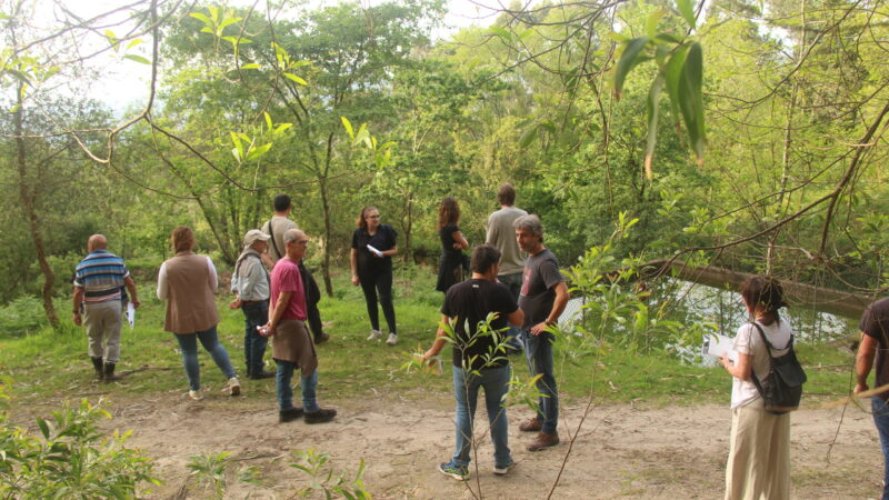 Couso wants an artistic work linked to nature, respectful of the environment and sustainable.