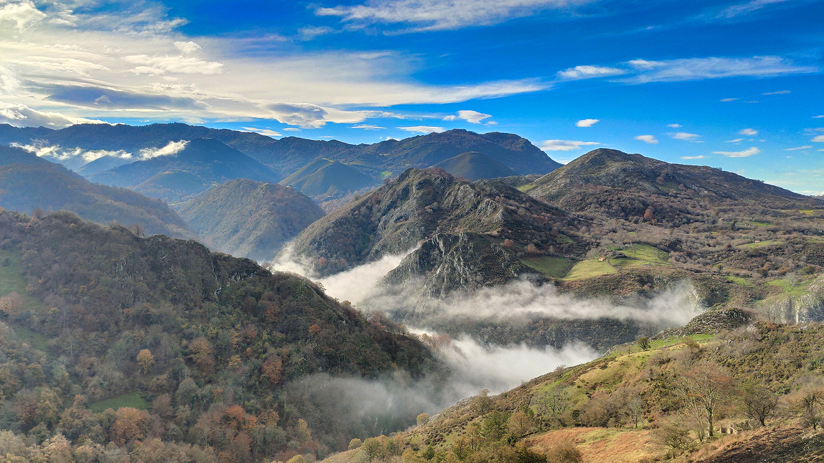 [Re]conocer el monte