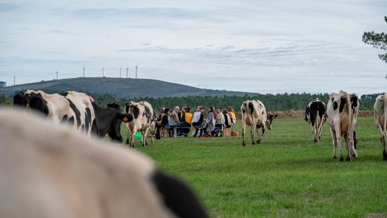 Todo o que cabe nun queixo