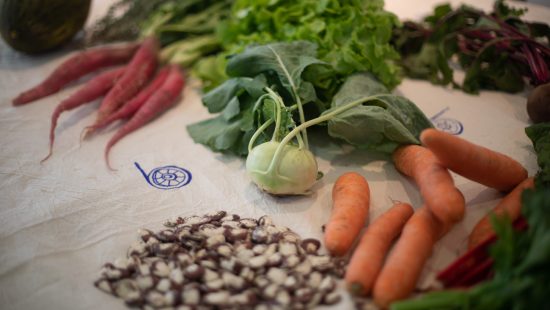  L'Horta: desirable futures