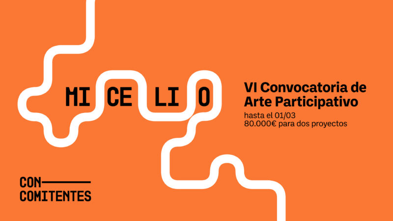 Micelio VI - Participatory Art Call for Proposals